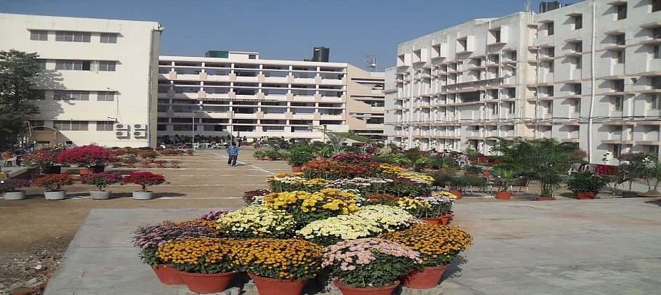DAV College for Girls-image