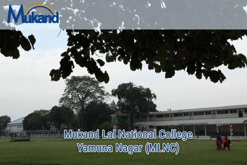MLN College-image