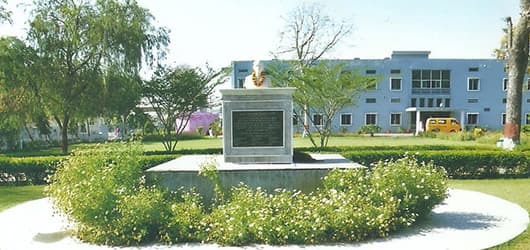 S.P. College of Education-image