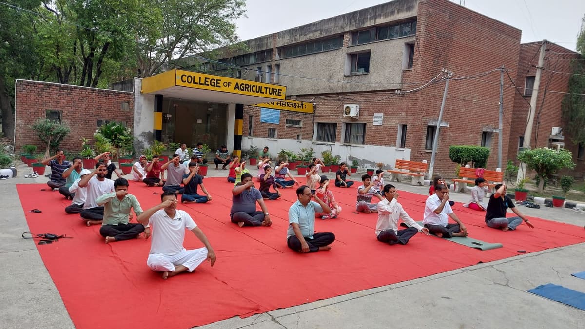 COA Kaul-gallery-image-1
