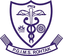 PGIMS Rohtak-logo