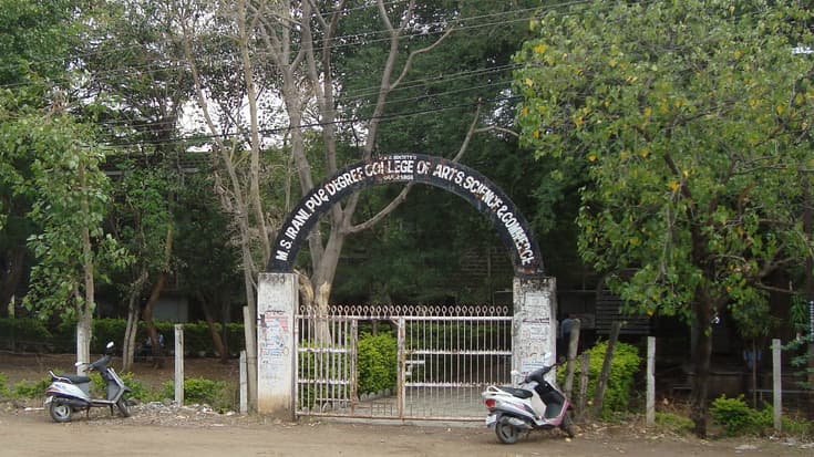 MSI Degree College-logo