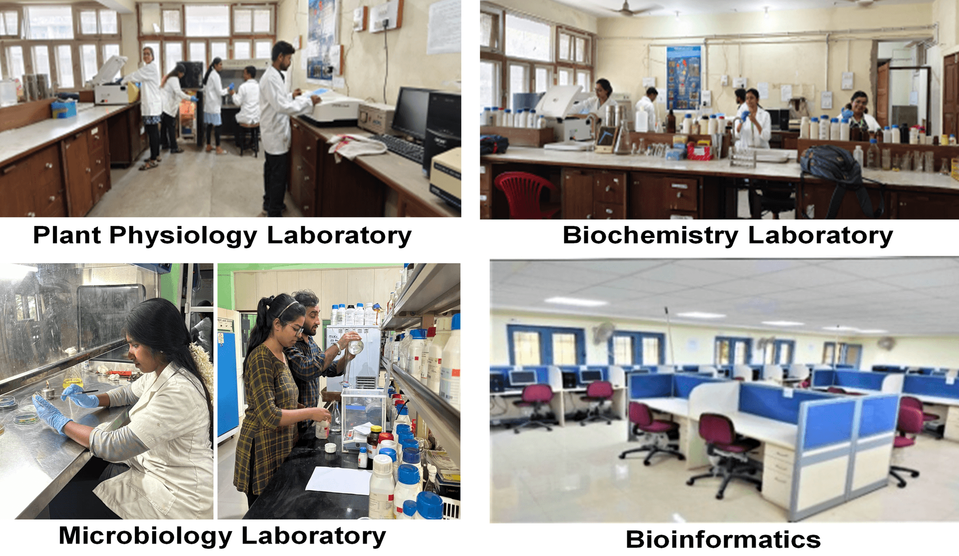 CBSH Samastipur-image