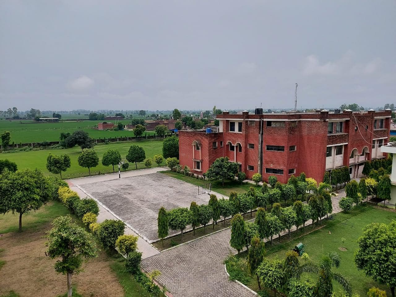 Green Wood College-image