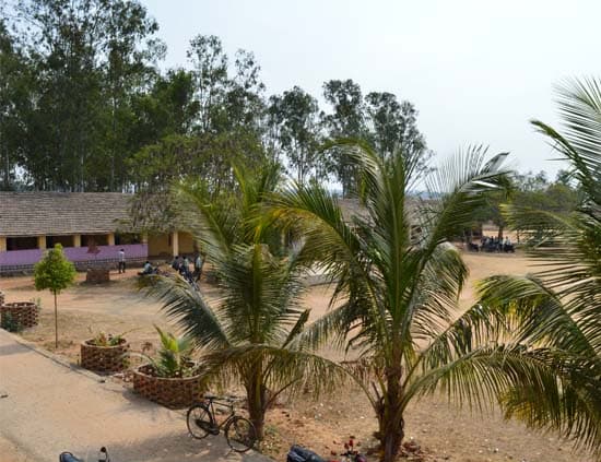 Rimuli College-gallery-image-3