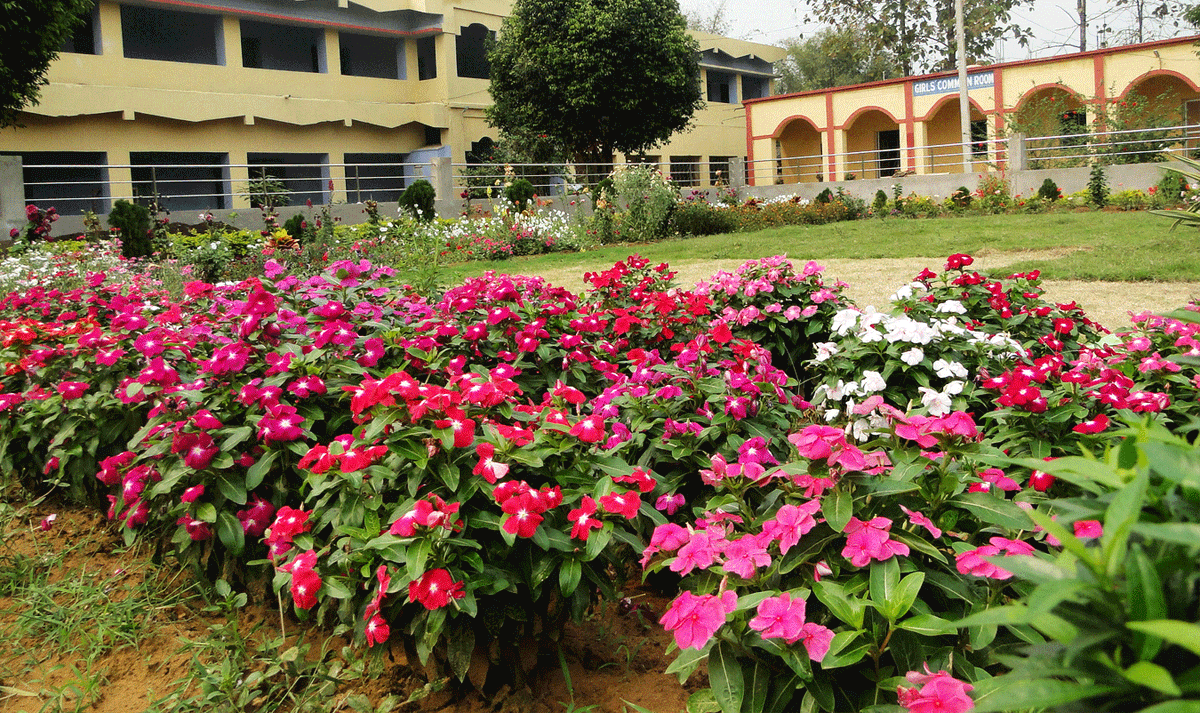 SMV-gallery-image-4