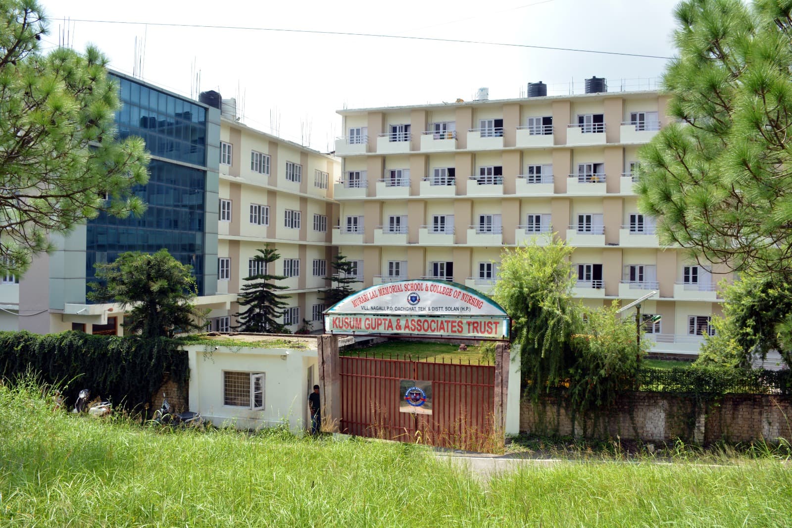 MLM College of Nursing Solan-image