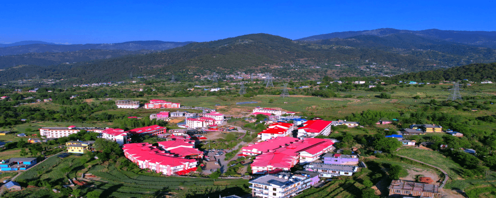 AU Mandi-gallery-image-1