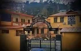 DAV College, Chamba-logo