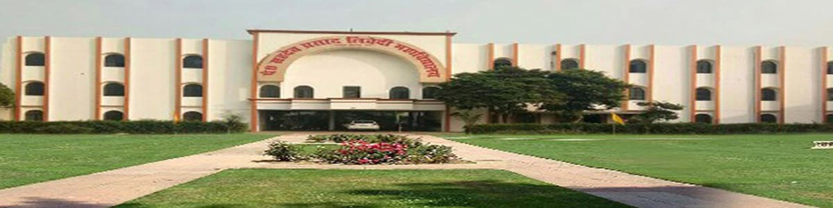Pt. Sahadev Prasad Trivedi College-gallery-image-2