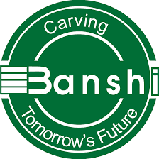 Banshi College of Education-logo