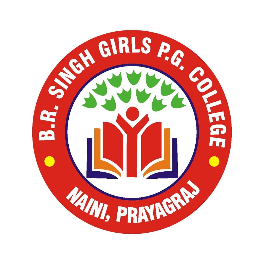 BRS College Prayagraj-gallery-image-3