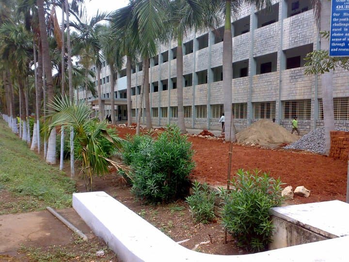 PNK College-gallery-image-2