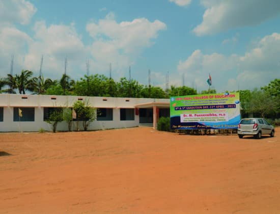 New Ideal College of Education-gallery-image-1