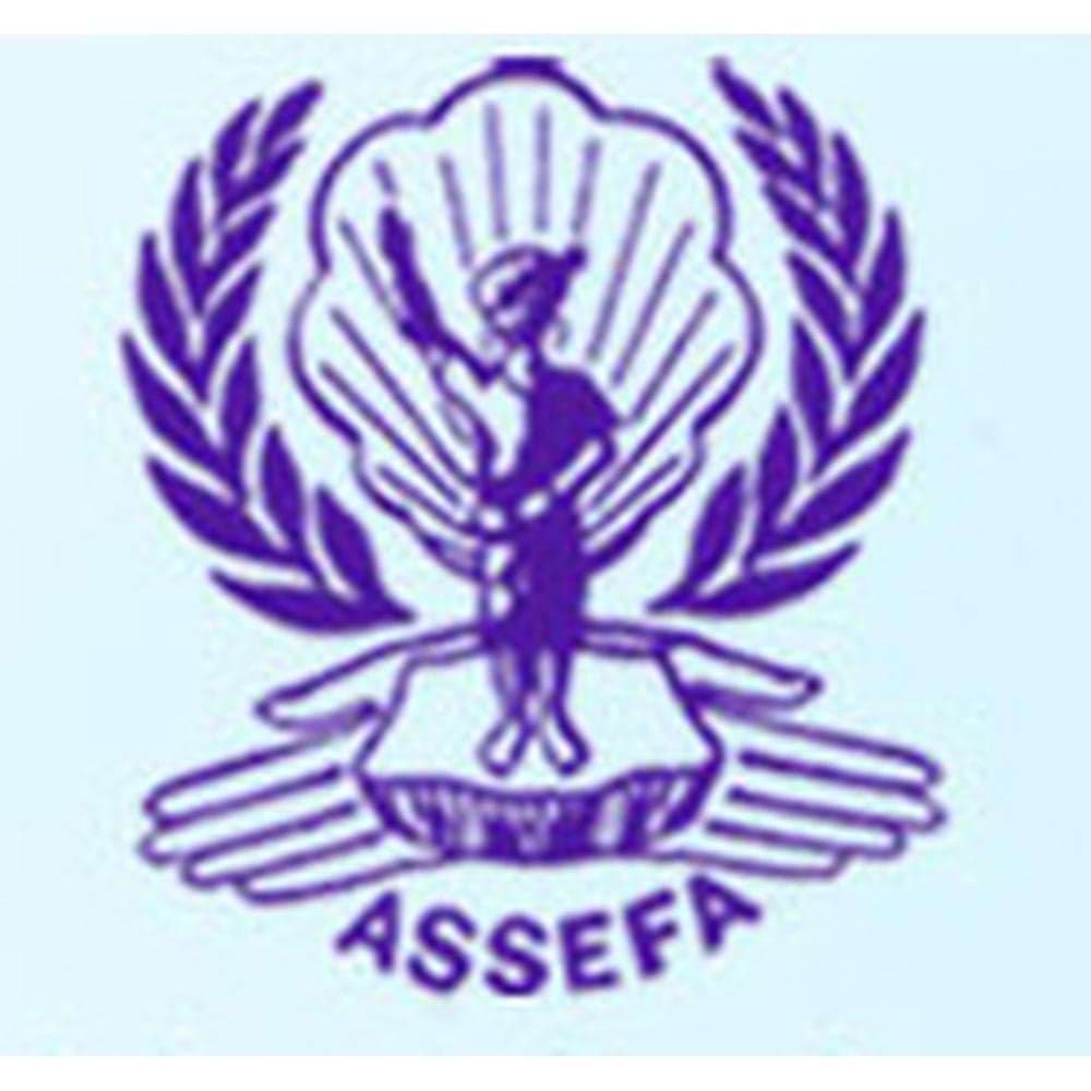 Assefa College of Education-logo