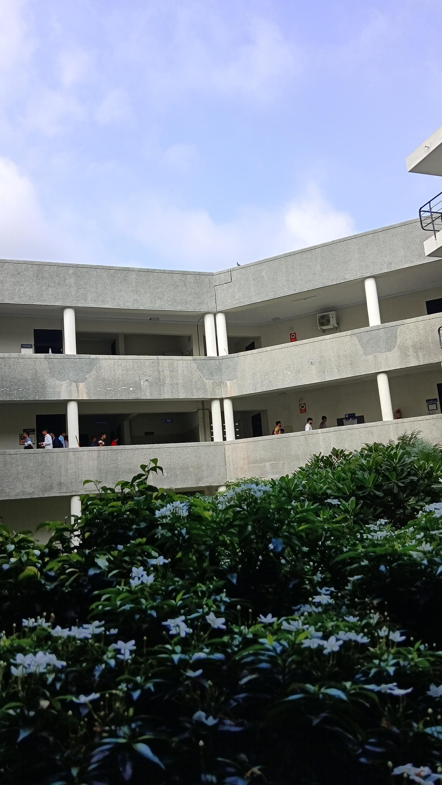 Smt. Chandaben Mohanbhai Patel Institute of computer application-image