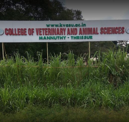 College of Veterinary and Animal Sciences-image