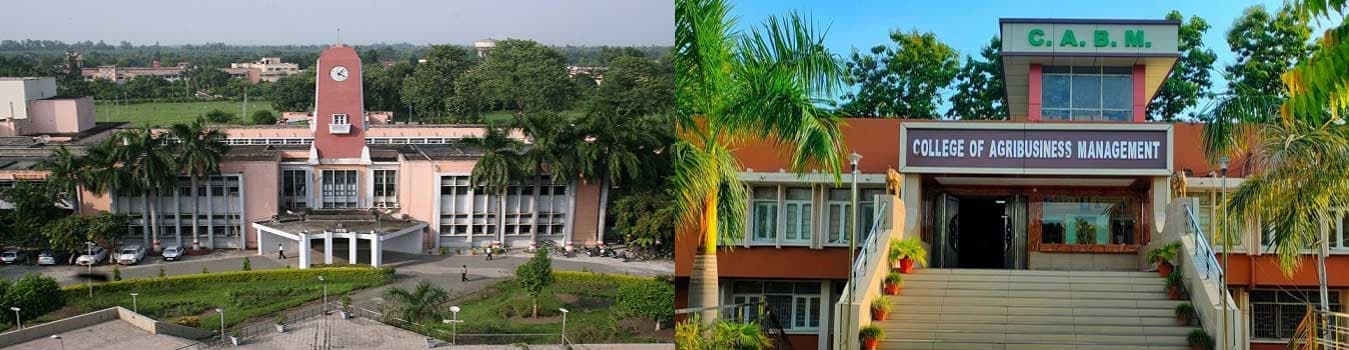 CABM Pantnagar-image