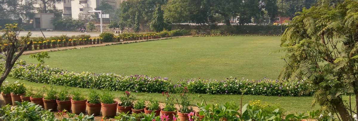 DSC-gallery-image-1