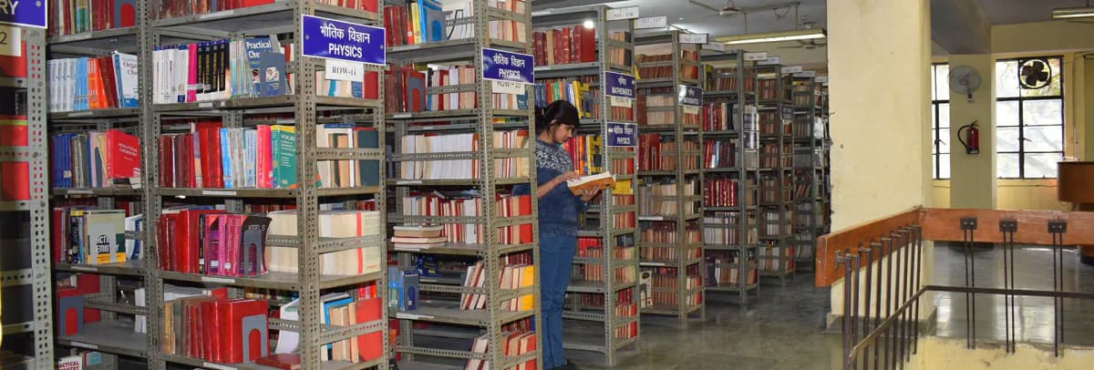 DSC-gallery-image-2