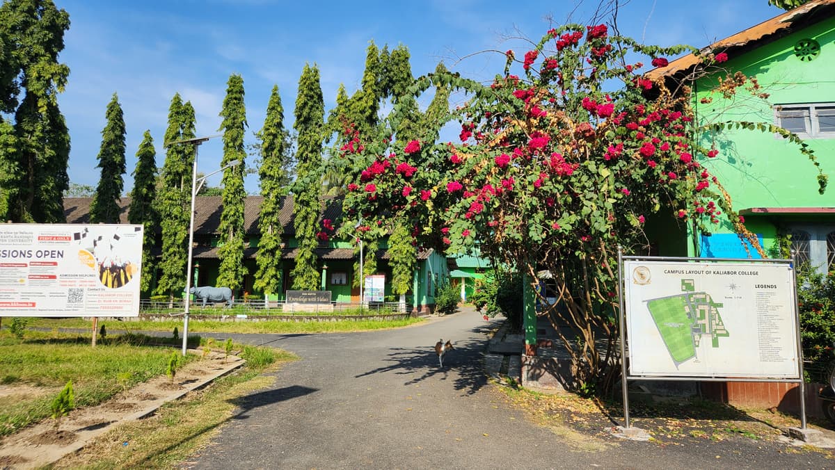 Kaliabor College-gallery-image-4