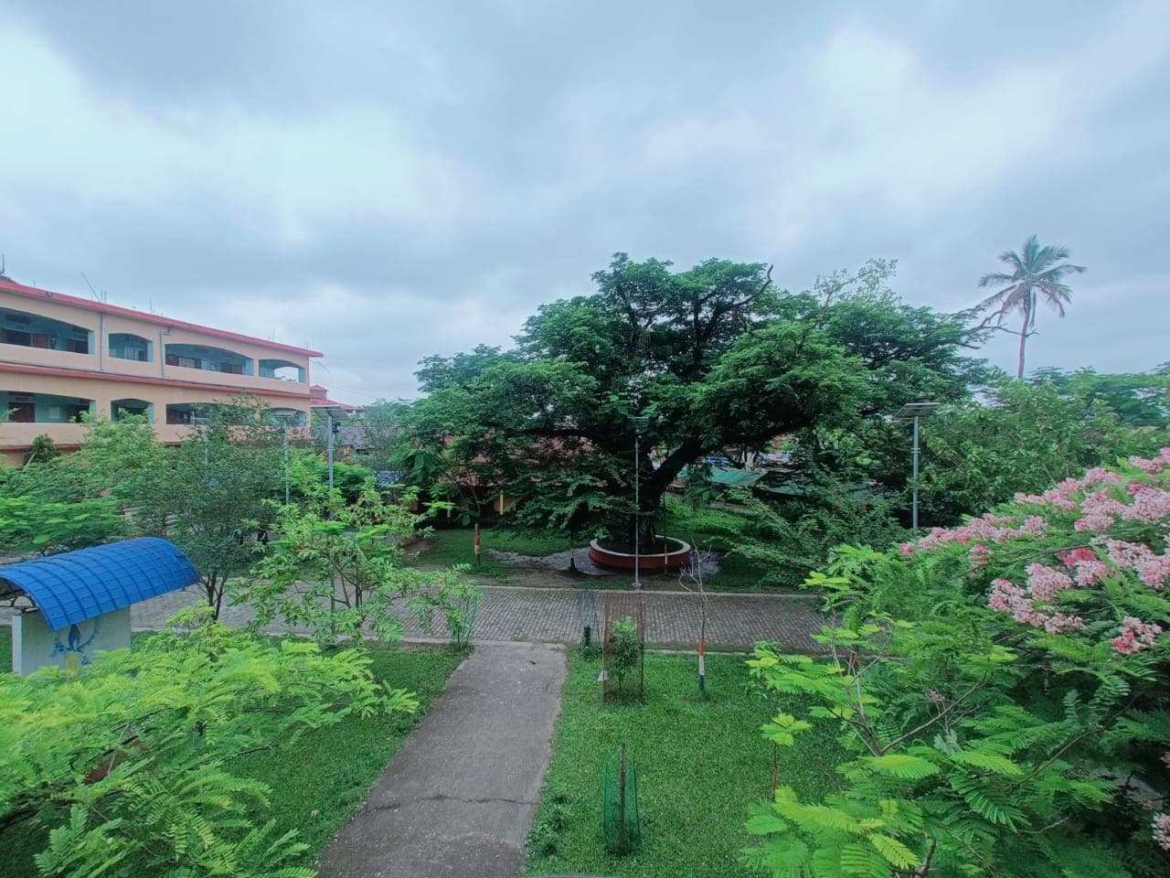 Nalbari College-image