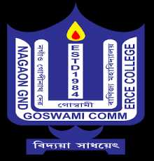 Nagaon GNDG Commerce College-logo