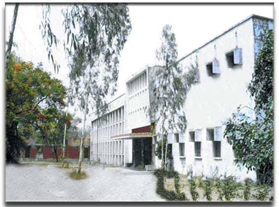 Govt. Girls' P.G. College, Rewa-gallery-image-0