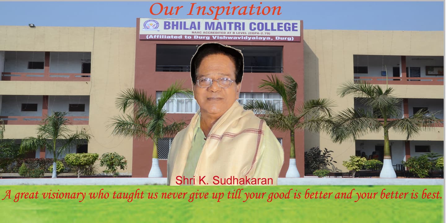 Bhilai Maitri College-image