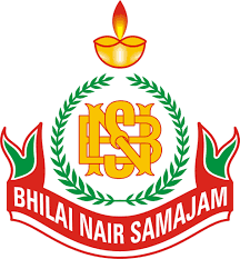 BNS College Durg-logo