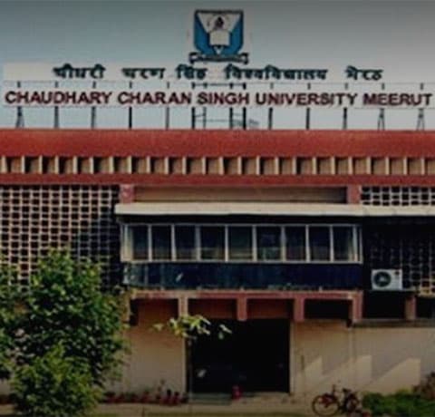Meerut University-image