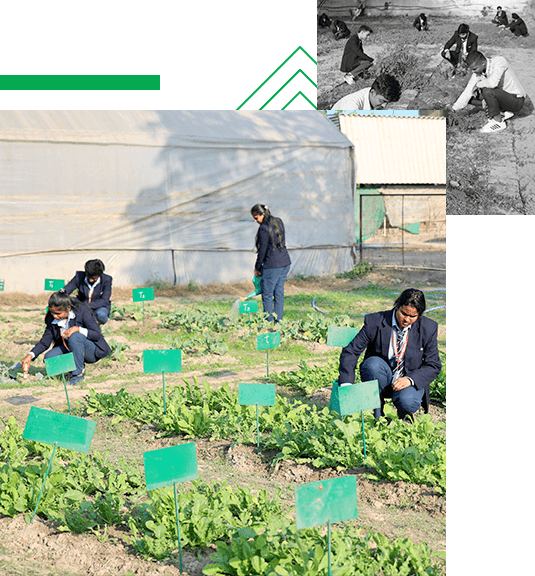 Doon College Dehradun-gallery-image-2