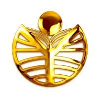 Rao's Degree College-logo