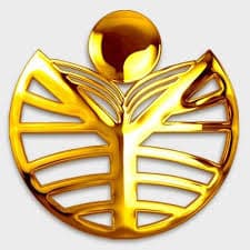 Rao's Institute of Computer Science-logo