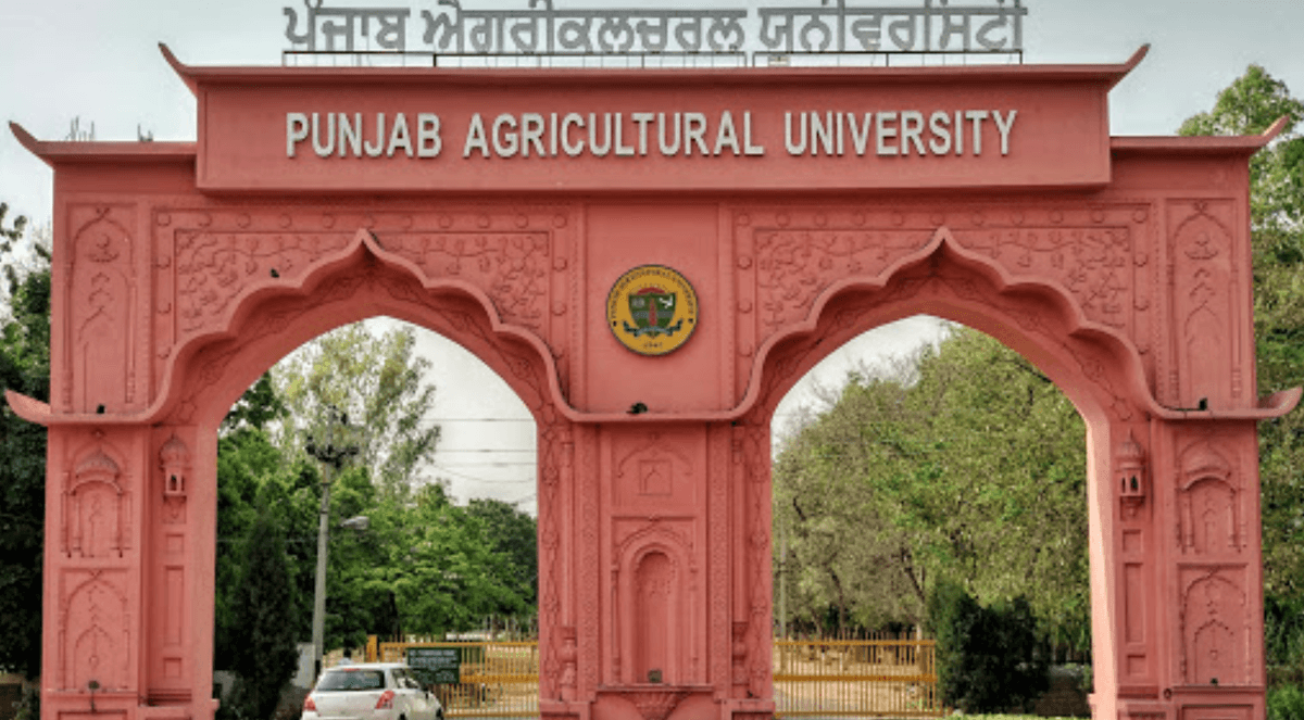 PAU Ludhiana-gallery-image-2