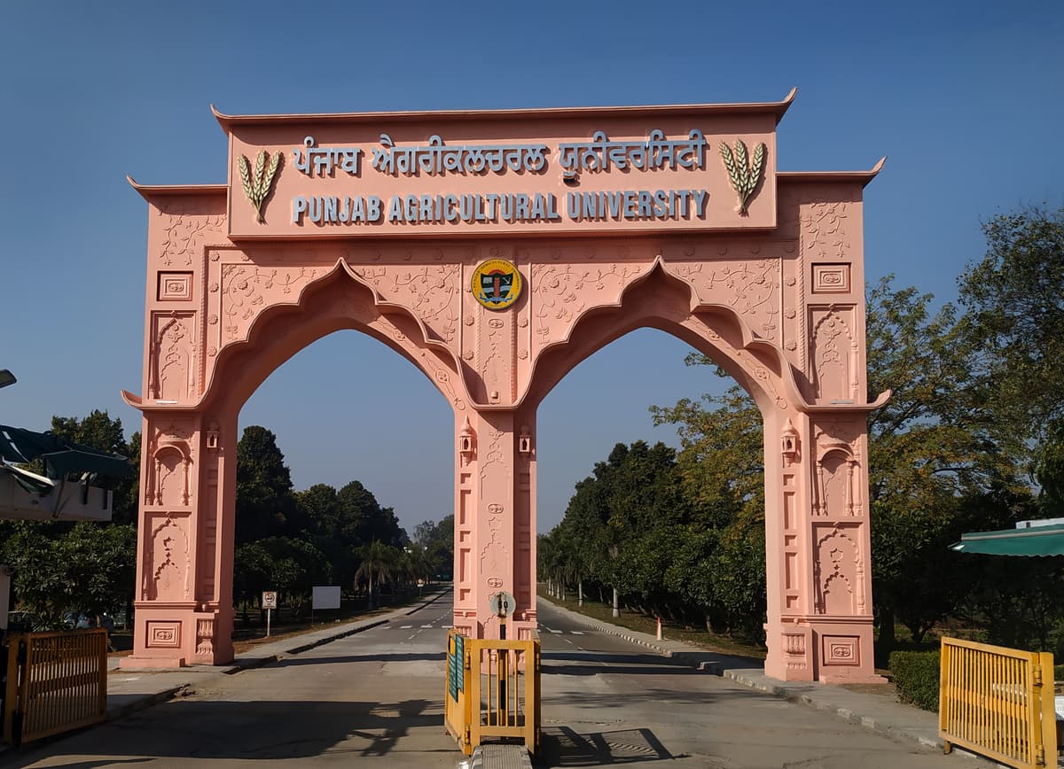 PAU Ludhiana-gallery-image-4