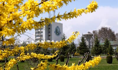 Kashmir University-gallery-image-2