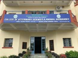 College of Veterinary Sciences and Animal Husbandry-image