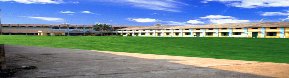 HDJC Ara-gallery-image-4