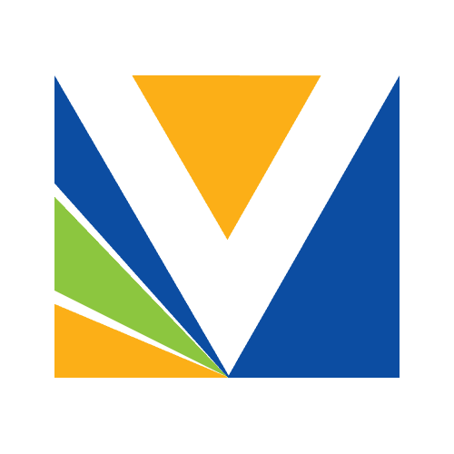 Vision School of Management logo