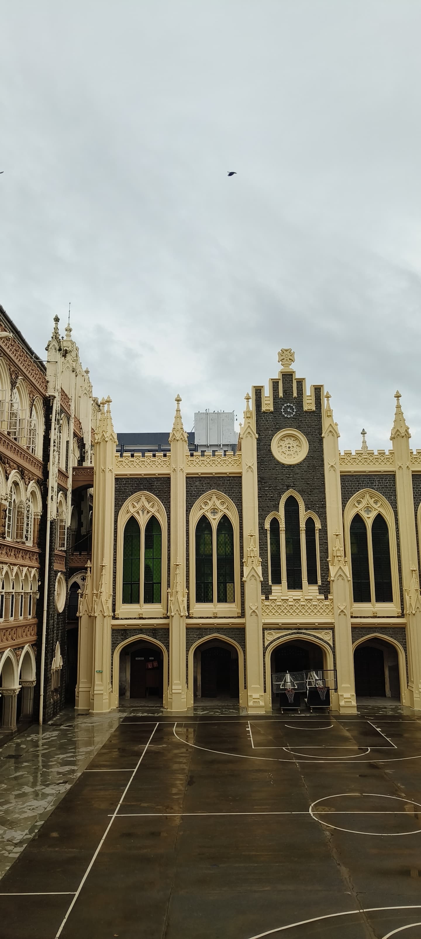 St. Xavier's College Mumbai-image