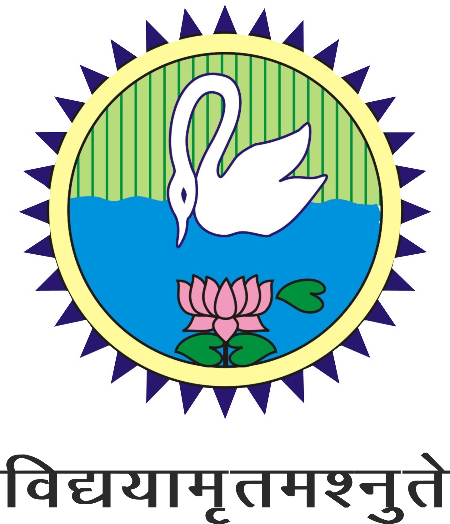 SD College of Management Studies-logo