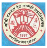GSDN College Meerut-logo