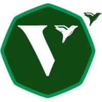 Vidya Institute of Creative Teaching