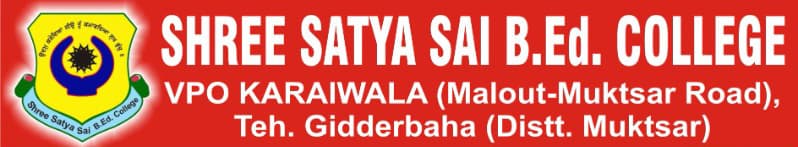 Shree Satya Sai BEd College logo