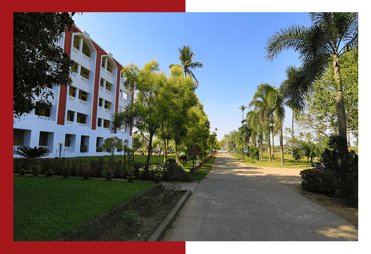 Synergy Institute of Technology Bhubaneswar