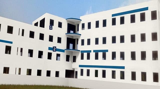 25291_assets_1