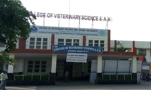 College of Veterinary Science & Animal Husbandry Anjora-image