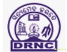 D.R. Nayapalli College-logo