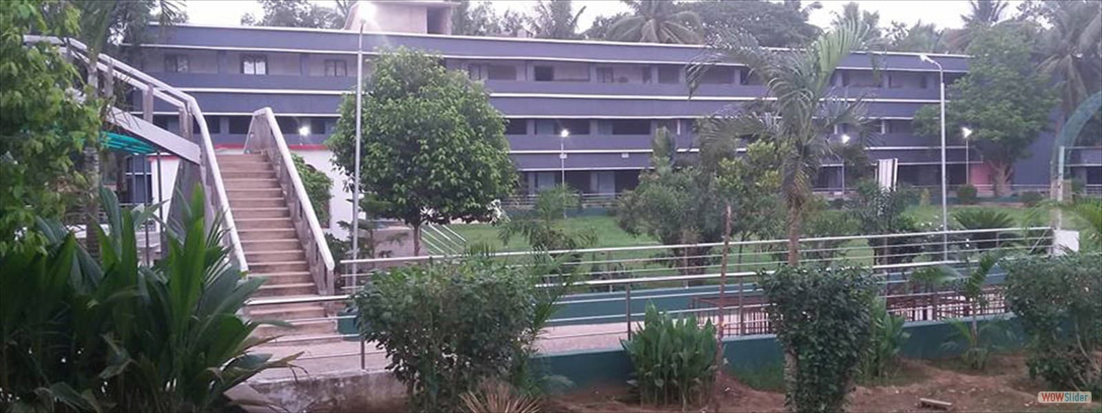 SN College-image